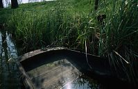 Brandenburg-Spreewald-199404-119.jpg