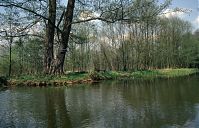 Dateiname=Brandenburg-Spreewald-199404-122.jpg
Dateigröße=299KB
Abmessungen: 880x567
hinzugefügt am: 02. Januar 2016 Brandenburg-Spreewald-199404-122.jpg