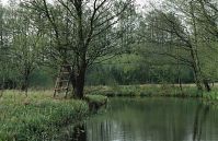 Brandenburg-Spreewald-199404-128.jpg