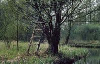 Brandenburg-Spreewald-199404-129.jpg