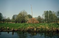 Brandenburg-Spreewald-199404-134.jpg