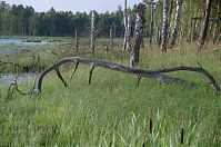 Dateiname=Brandenburg-Tangersdorf-20010713-074.jpg
Dateigröße=321KB
Abmessungen: 880x584
hinzugefügt am: 02. Januar 2016 Brandenburg-Tangersdorf-20010713-074.jpg
