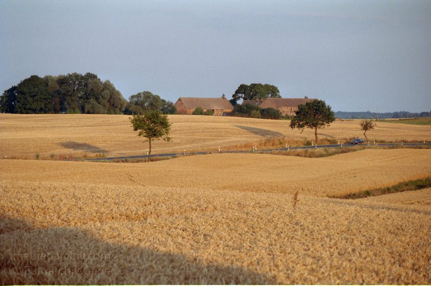 Brandenburg. Landschaft. Landwirtschaft. Felder. Getreide
August 1999. Brandenburg. Landschaft. Landwirtschaft. Felder. Getreide
Schlüsselwörter: Brandenburg;Deutschland;Felder;Germany;Getreidefeld;Landschaft;Landwirtschaft;1999;Uckermark