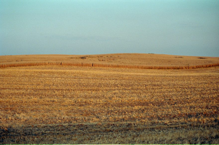 Brandenburg. Landschaft. Landwirtschaft. Felder. Getreide
August 1999. Brandenburg. Landschaft. Landwirtschaft. Felder. Getreide
Schlüsselwörter: Brandenburg;Deutschland;Felder;Germany;Getreidefeld;Landschaft;Landwirtschaft;1999;Uckermark