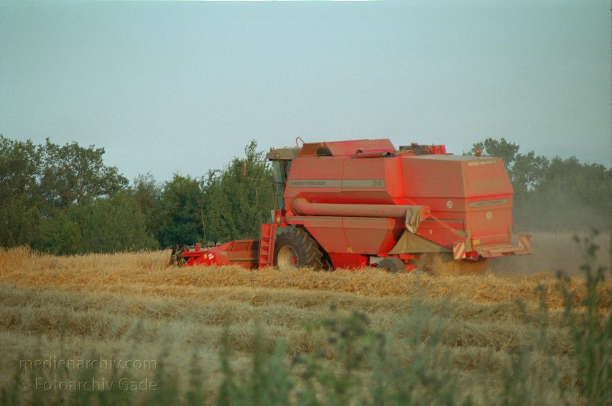 Brandenburg. Landschaft. Landwirtschaft. Felder. Getreide
August 1999. Brandenburg. Uckermark. Landschaft. Landwirtschaft. Felder. Getreide. Mähdrescher
Schlüsselwörter: Brandenburg;Deutschland;Felder;Germany;Getreidefeld;Landschaft;Landwirtschaft;1999;Uckermark