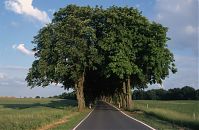 Brandenburg-Uckermark-199806-10.jpg