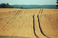 Brandenburg-Uckermark-199908-010.jpg
