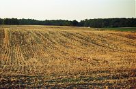 Brandenburg-Uckermark-199908-011.jpg