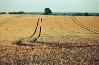 Brandenburg-Uckermark-199908-012.jpg