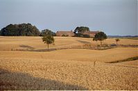 Brandenburg-Uckermark-199908-022.jpg