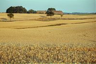 Brandenburg-Uckermark-199908-029.jpg