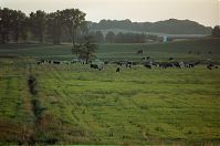 Brandenburg-Uckermark-199908-033.jpg
