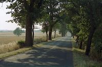 Brandenburg-Uckermark-199908-036.jpg