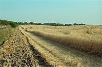 Brandenburg-Uckermark-199908-038.jpg