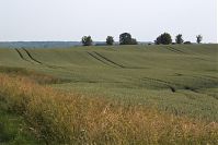 Brandenburg-Uckermark-20060625-01.jpg