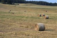 Brandenburg-Uckermark-20060625-02.jpg