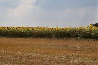 Brandenburg-Uckermark-20060812-20.jpg