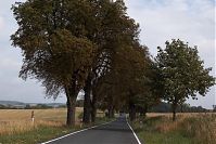 Brandenburg-Uckermark-20060821-20.jpg