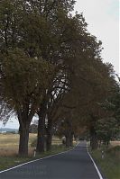 Brandenburg-Uckermark-20060821-22.jpg
