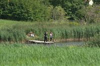 Brandenburg-Vehlefanz-20120728-126.jpg