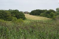 Brandenburg-Vehlefanz-20120728-129.jpg