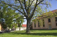 Brandenburg-Zehdenick-20140503-280.jpg