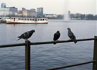 Hamburg-Alster-199204-27.jpg