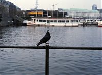 Hamburg-Alster-199204-35.jpg