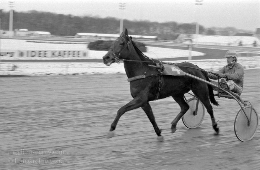 Hamburg. Trabrennbahn Bahrenfeld. Pferde.
März 1988. Hamburg. Trabrennbahn Bahrenfeld. Pferde.
Schlüsselwörter: Bahrenfeld;Deutschland;Germany;Hamburg;Pferde;1988;Trabrennbahn