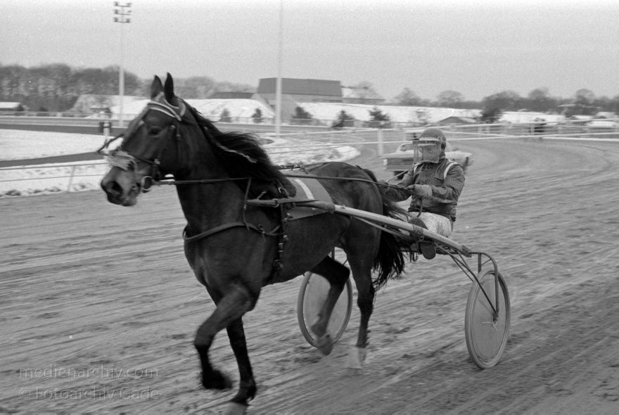 Hamburg. Trabrennbahn Bahrenfeld. Pferde.
März 1988. Hamburg. Trabrennbahn Bahrenfeld. Pferde.
Schlüsselwörter: Bahrenfeld;Deutschland;Germany;Hamburg;Pferde;1988;Trabrennbahn