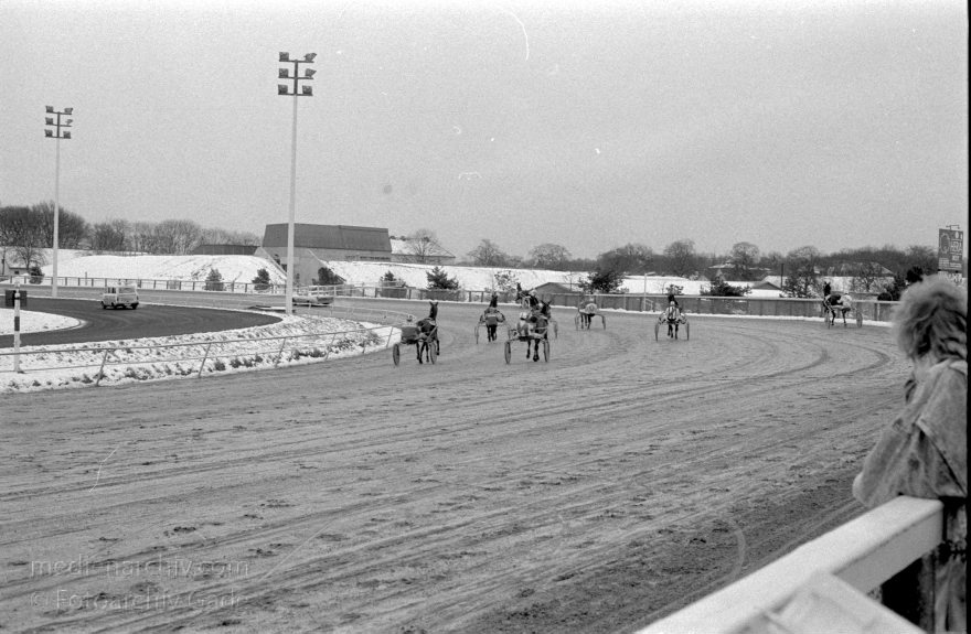 Hamburg. Trabrennbahn Bahrenfeld. Pferde.
März 1988. Hamburg. Trabrennbahn Bahrenfeld. Pferde.
Schlüsselwörter: Bahrenfeld;Deutschland;Germany;Hamburg;Pferde;1988;Trabrennbahn