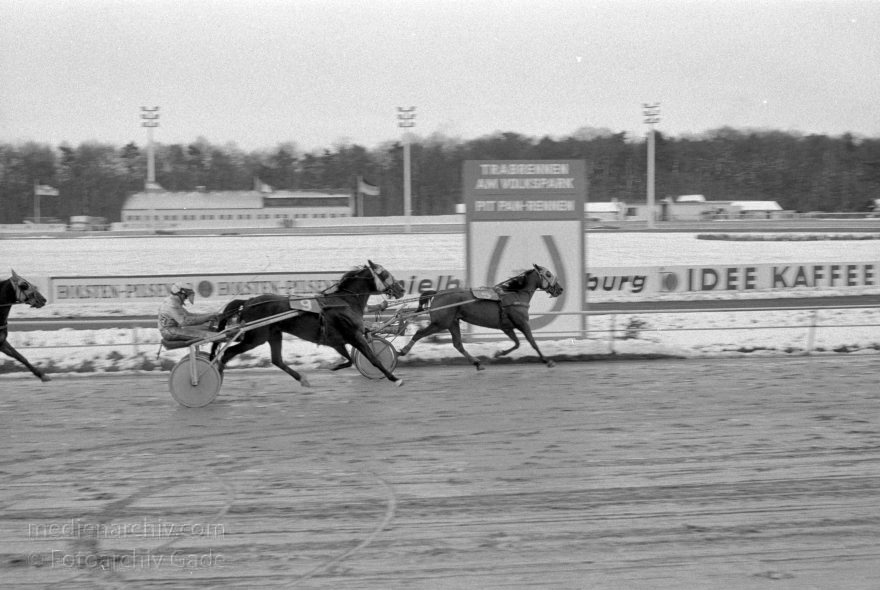 Hamburg. Trabrennbahn Bahrenfeld. Pferde.
März 1988. Hamburg. Trabrennbahn Bahrenfeld. Pferde.
Schlüsselwörter: Bahrenfeld;Deutschland;Germany;Hamburg;Pferde;1988;Trabrennbahn