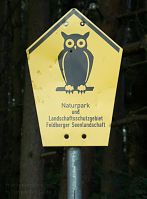 Mecklenburg-Vorpommern-Fs-Carwitz-20100706-32.jpg