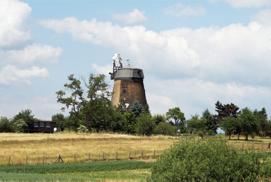 Feldberger Seenlandschaft. Carwitz
7. Juni 2008. Mecklenburg-Vorpommern. Feldberger Seenlandschaft. Carwitz. Carwitzre Mühle.
Schlüsselwörter: Carwitz;Deutschland;Feldberger Seenlandschaft;Germany;Mecklenburg-Vorpommern;2008;Mühle