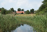 Mecklenburg-Vorpommern-Fs-Carwitz-Schilf-20080603-29.jpg