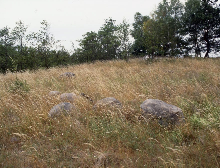Feldberger Seelandschaft. Insel Bohnenwerder im Carwitzer See
Juli 1992. Brandenburg. Mecklenburg-Vorpommern. Feldberger Seenlandschaft. bei Thomsdorf
Schlüsselwörter: Brandenburg;Deutschland;Feldberger Seenlandschaft;Feldsteine;Germany;1992;Mecklenburg-Vorpommern