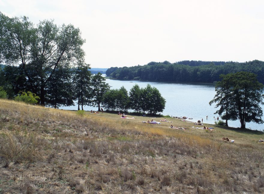 Feldberger Seelandschaft. Insel Bohnenwerder im Carwitzer See
1992. Mecklenburg-Vorpommern. Feldberger Seenlandschaft. Carwitzer See. Insel Bohnenwerder
Schlüsselwörter: Bohnenwerder;Boote;Carwitzer See;Deutschland;Feldberger Seenlandschaft;Germany;1992;Mecklenburg-Vorpommern