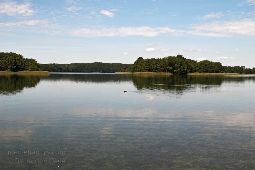 Feldberger Seen.
21. Juni 2005. Mecklenburg-Vorpommern. Feldberger Seen, , Carwitzer See
Schlüsselwörter: Carwitzer See;Deutschland;Felberger Seen;Feldberger Seenlandschaft;Germany;2005;Mecklenburg-Vorpommern