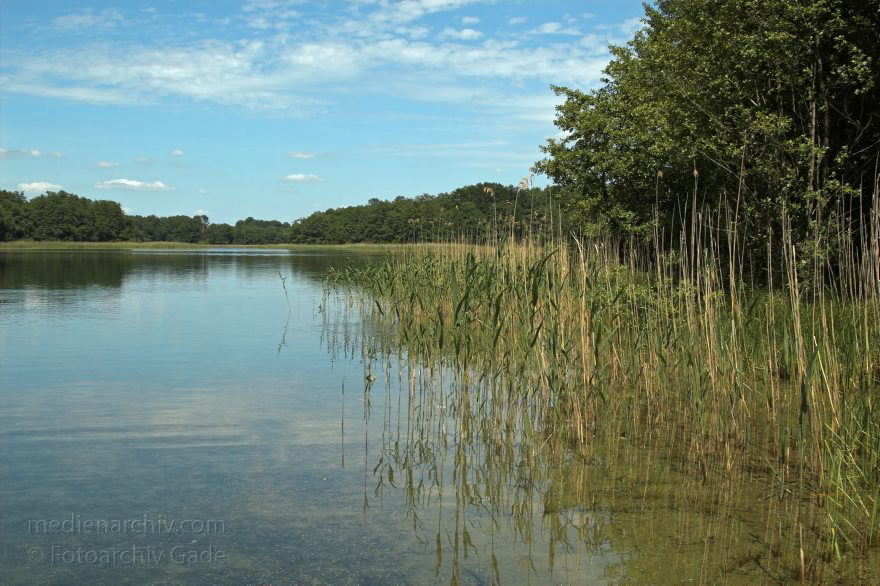 Feldberger Seen.
21. Juni 2005. Mecklenburg-Vorpommern. Feldberger Seen, , Carwitzer See
Schlüsselwörter: Carwitzer See;Deutschland;Felberger Seen;Feldberger Seenlandschaft;Germany;2005;Mecklenburg-Vorpommern