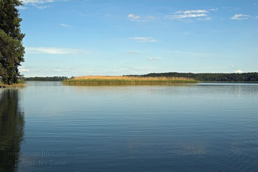 Feldberger Seen.
21. Juni 2005. Mecklenburg-Vorpommern. Feldberger Seen, , Carwitzer See
Schlüsselwörter: Carwitzer See;Deutschland;Felberger Seen;Feldberger Seenlandschaft;Germany;2005;Mecklenburg-Vorpommern