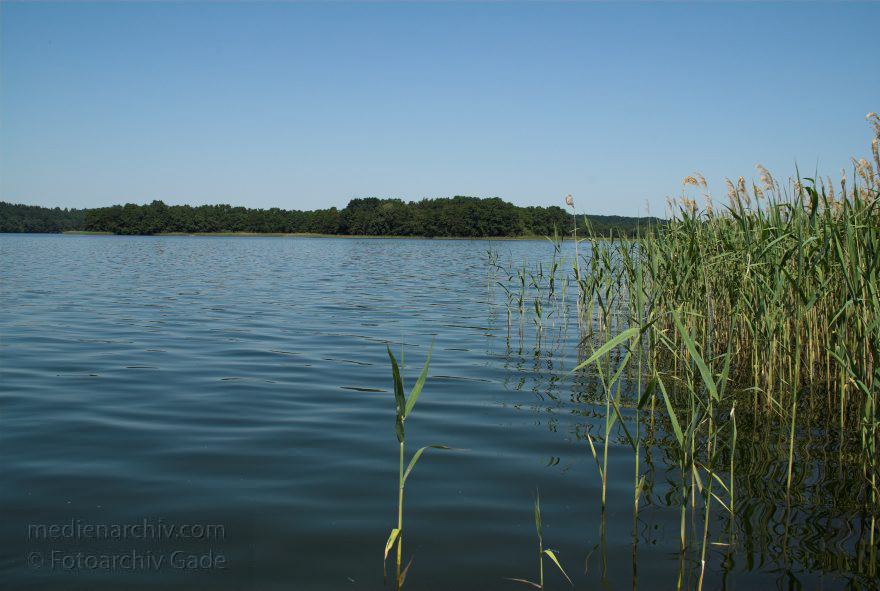 Feldberger Seenlandschaft. Carwitzer See.
8. Juni 2008. Mecklenburg-Vorpommern. Feldberger Seenlandschaft. Carwitzer See.
Schlüsselwörter: Carwitz;Carwitzer See;Deutschland;Feldberger Seenlandschaft;Germany;2008;Mecklenburg-Vorpommern
