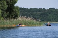 Mecklenburg-Vorpommern-Fs-Carwitzer-See-20100701-23.jpg