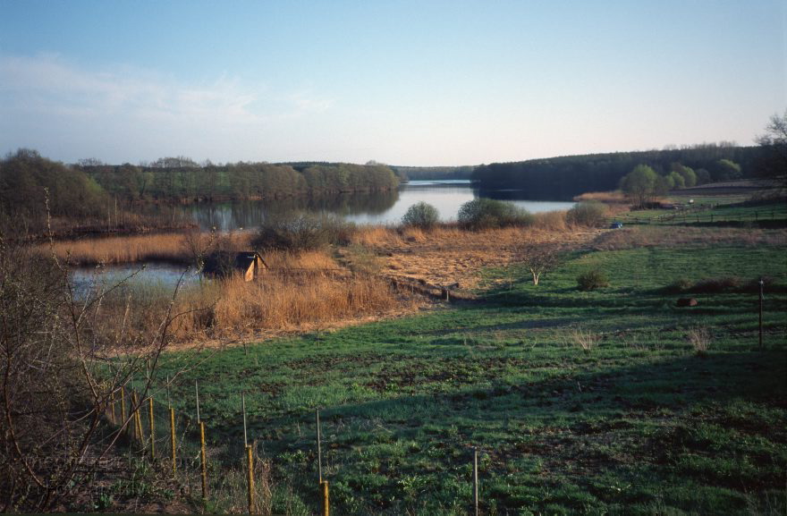 Carwitz. Feldberger Seen.
Mai 1996. Mecklenburg-Vorpommern. Carwitz. Feldberger Seen. Dreetzsee.
Schlüsselwörter: Carwitz;Deutschland;Dreetzsee;Feldberger Seen;Feldberger Seenlandschaft;Germany;1996;Mecklenburg-Vorpommern