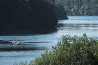 Dateiname=Mecklenburg-Vorpommern-Fs-Carwitz-20110706-40.jpg
Dateigröße=174KB
Abmessungen: 880x587
hinzugefügt am: 02. Januar 2016 Mecklenburg-Vorpommern-Fs-Carwitz-20110706-40.jpg