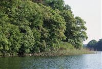 Dateiname=Mecklenburg-Vorpommern-Fs-Dreetzsee-199906-10.jpg
Dateigröße=326KB
Abmessungen: 880x598
hinzugefügt am: 02. Januar 2016 Mecklenburg-Vorpommern-Fs-Dreetzsee-199906-10.jpg