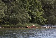 Mecklenburg-Vorpommern-Fs-Dreetzsee-20050621-21.jpg