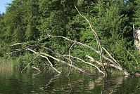 Dateiname=Mecklenburg-Vorpommern-Fs-Dreetzsee-20080602-15.jpg
Dateigröße=449KB
Abmessungen: 880x592
hinzugefügt am: 02. Januar 2016 Mecklenburg-Vorpommern-Fs-Dreetzsee-20080602-15.jpg