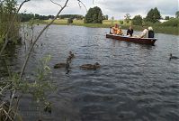Dateiname=Mecklenburg-Vorpommern-Fs-Dreetzsee-20080808-48.jpg
Dateigröße=220KB
Abmessungen: 880x591
hinzugefügt am: 02. Januar 2016 Mecklenburg-Vorpommern-Fs-Dreetzsee-20080808-48.jpg