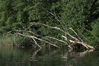 Dateiname=Mecklenburg-Vorpommern-Fs-Dreetzsee-20100629-10.jpg
Dateigröße=360KB
Abmessungen: 880x587
hinzugefügt am: 02. Januar 2016 Mecklenburg-Vorpommern-Fs-Dreetzsee-20100629-10.jpg