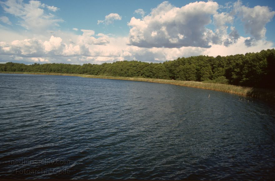 Feldberger Seenlandschaft. Feldberger See
1996. Mecklenburg-Vorpommern. Feldberger Seenlandschaft. Feldberger See
Schlüsselwörter: Deutschland;Feldberger See;Feldberger Seenlandschaft;Germany;1996;Mecklenburg-Vorpommern